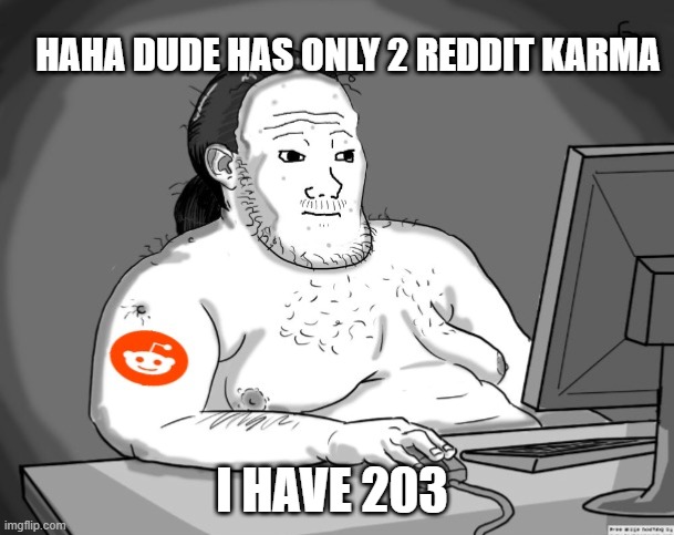 Average Redditor | HAHA DUDE HAS ONLY 2 REDDIT KARMA; I HAVE 203 | image tagged in average redditor | made w/ Imgflip meme maker