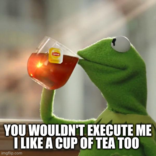 But That's None Of My Business Meme | YOU WOULDN'T EXECUTE ME
I LIKE A CUP OF TEA TOO | image tagged in memes,but that's none of my business,kermit the frog | made w/ Imgflip meme maker