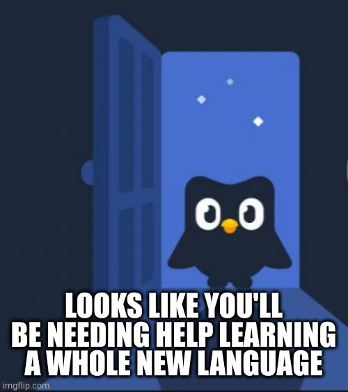 Duolingo bird | LOOKS LIKE YOU'LL BE NEEDING HELP LEARNING A WHOLE NEW LANGUAGE | image tagged in duolingo bird | made w/ Imgflip meme maker