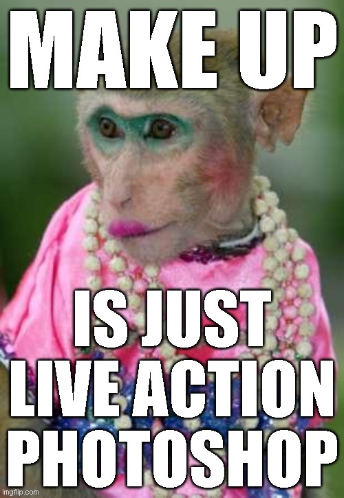 Monkey make up | MAKE UP; IS JUST LIVE ACTION PHOTOSHOP | image tagged in monkey make up | made w/ Imgflip meme maker
