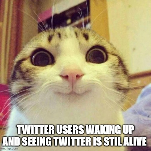 Twitter users waking up to find Twitter is still alive | TWITTER USERS WAKING UP AND SEEING TWITTER IS STIL ALIVE | image tagged in memes,smiling cat | made w/ Imgflip meme maker