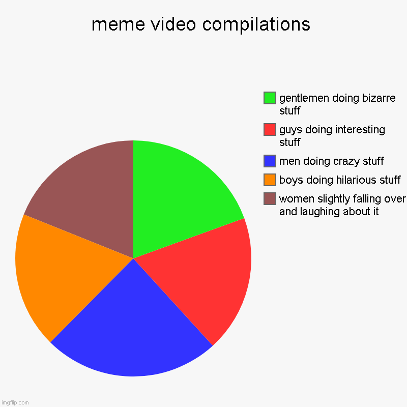 meme video compilations | women slightly falling over and laughing about it, boys doing hilarious stuff, men doing crazy stuff, guys doing i | image tagged in charts,pie charts | made w/ Imgflip chart maker