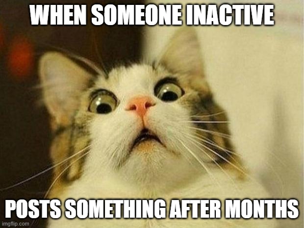 I'm baaack | WHEN SOMEONE INACTIVE; POSTS SOMETHING AFTER MONTHS | image tagged in memes,scared cat | made w/ Imgflip meme maker