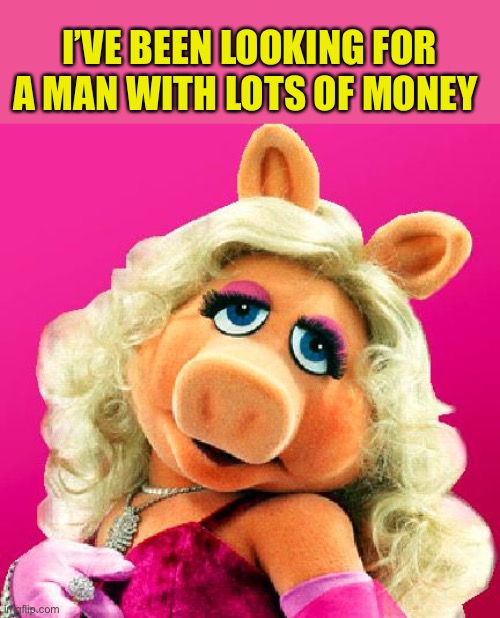 Miss Piggy | I’VE BEEN LOOKING FOR A MAN WITH LOTS OF MONEY | image tagged in miss piggy | made w/ Imgflip meme maker