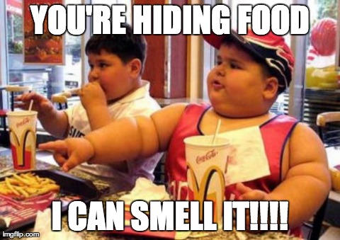 McDonald's fat boy | YOU'RE HIDING FOOD I CAN SMELL IT!!!! | image tagged in mcdonald's fat boy | made w/ Imgflip meme maker