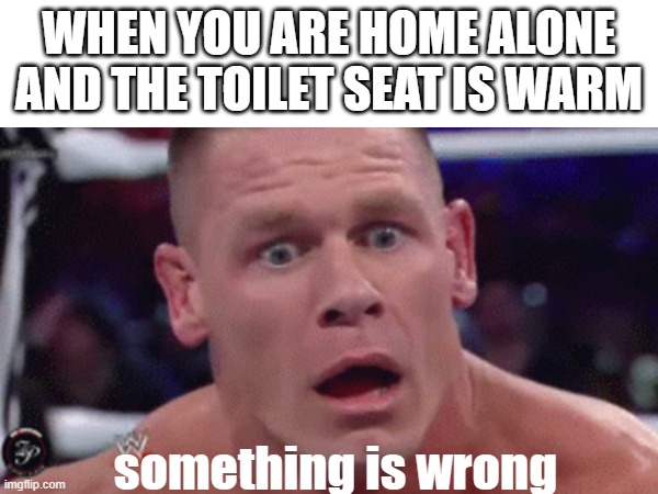 Uh oh | WHEN YOU ARE HOME ALONE AND THE TOILET SEAT IS WARM; something is wrong | image tagged in fun | made w/ Imgflip meme maker