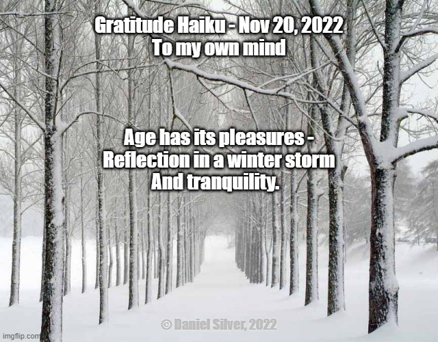 Gratitude Haiku - Nov 20, 2022 | Gratitude Haiku - Nov 20, 2022
To my own mind
 
  

 
Age has its pleasures -
Reflection in a winter storm
And tranquility. © Daniel Silver, 2022 | image tagged in gratitude,haiku,poetry | made w/ Imgflip meme maker