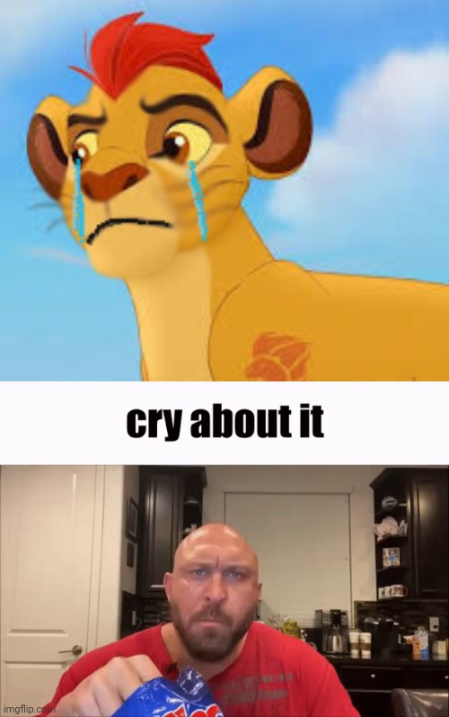kion won't stop crying | image tagged in crying kion crybaby,cry about it,us-president-joe-biden,the lion guard,lion guard,cancel the lion guard | made w/ Imgflip meme maker
