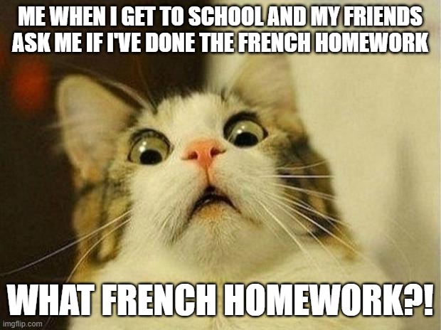 it happens a lot nowadays lol | ME WHEN I GET TO SCHOOL AND MY FRIENDS ASK ME IF I'VE DONE THE FRENCH HOMEWORK; WHAT FRENCH HOMEWORK?! | image tagged in memes,scared cat | made w/ Imgflip meme maker