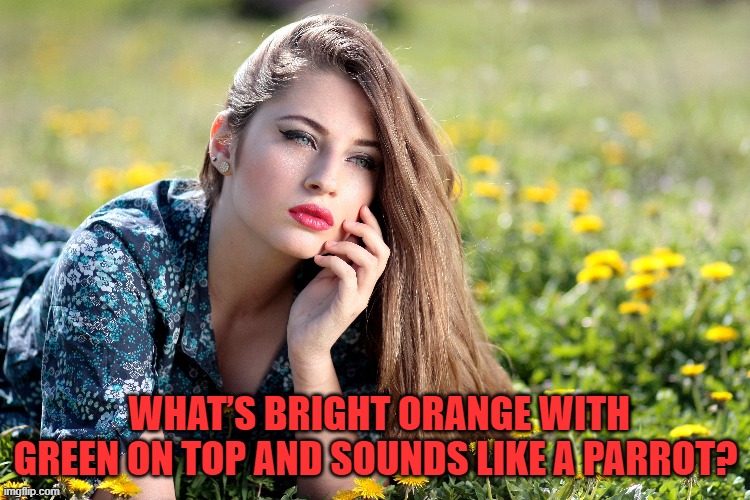 WHAT’S BRIGHT ORANGE WITH GREEN ON TOP AND SOUNDS LIKE A PARROT? | image tagged in riddle | made w/ Imgflip meme maker