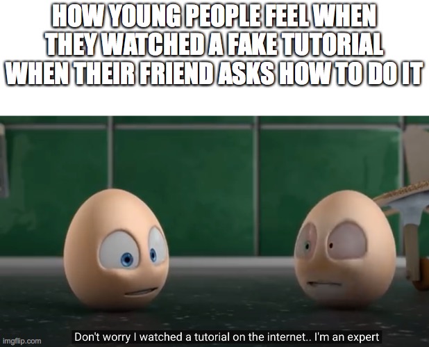 don't worry I watched a tutorial on the internet. I'm an expert | HOW YOUNG PEOPLE FEEL WHEN THEY WATCHED A FAKE TUTORIAL WHEN THEIR FRIEND ASKS HOW TO DO IT | image tagged in don't worry i watched a tutorial on the internet i'm an expert | made w/ Imgflip meme maker