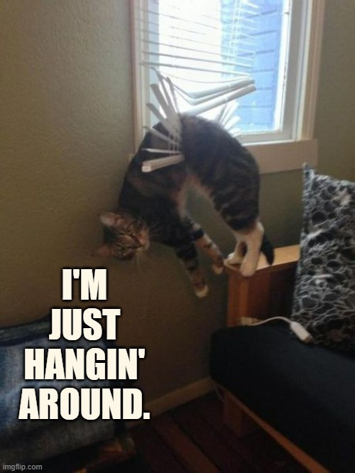 Yes...Yes... | I'M JUST HANGIN' AROUND. | image tagged in memes,cats,caught,inside,blind,hanging out | made w/ Imgflip meme maker