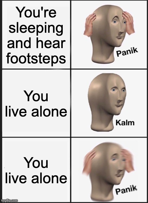 Oh mah gah bro | You're sleeping and hear footsteps; You live alone; You live alone | image tagged in memes,panik kalm panik | made w/ Imgflip meme maker