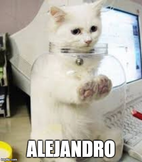 ALEJANDRO | ALEJANDRO | image tagged in cat | made w/ Imgflip meme maker