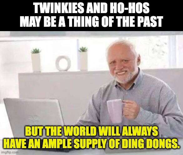 Ding Dongs | TWINKIES AND HO-HOS MAY BE A THING OF THE PAST; BUT THE WORLD WILL ALWAYS HAVE AN AMPLE SUPPLY OF DING DONGS. | image tagged in harold | made w/ Imgflip meme maker