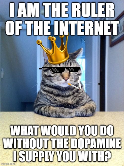 He's smoking Colombian catnip | I AM THE RULER OF THE INTERNET; WHAT WOULD YOU DO WITHOUT THE DOPAMINE I SUPPLY YOU WITH? | image tagged in memes,take a seat cat | made w/ Imgflip meme maker