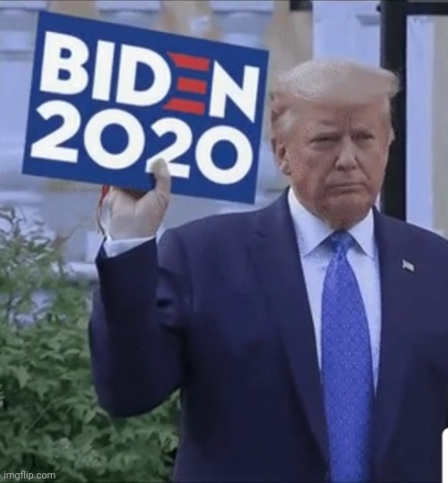 Trump for Biden 2020 | image tagged in trump for biden 2020 | made w/ Imgflip meme maker