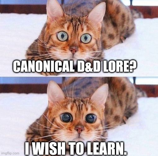 Oooooo~ Knowledge~ |  CANONICAL D&D LORE? I WISH TO LEARN. | image tagged in cat wide-eyes | made w/ Imgflip meme maker