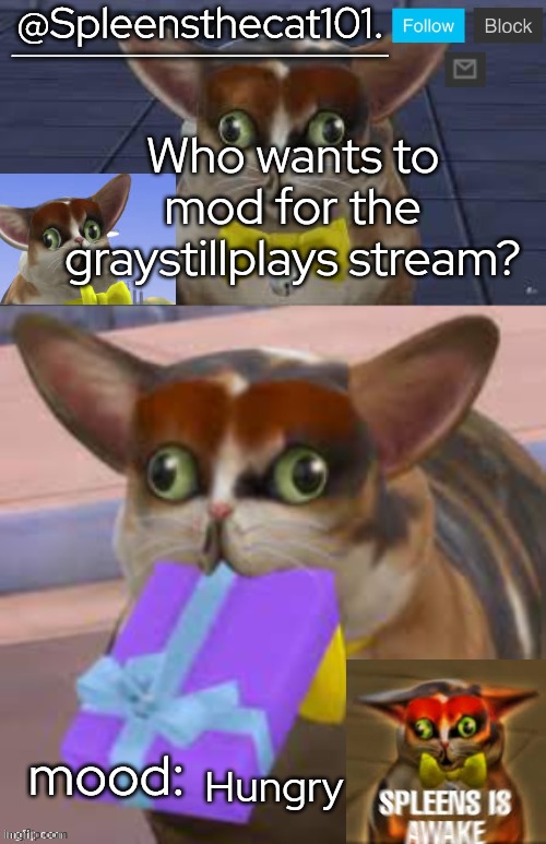 So | Who wants to mod for the graystillplays stream? Hungry | image tagged in spleensthecat101 | made w/ Imgflip meme maker