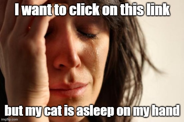 First World Problems Meme | I want to click on this link but my cat is asleep on my hand | image tagged in memes,first world problems | made w/ Imgflip meme maker