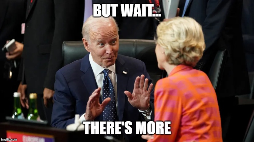 BUT WAIT... THERE'S MORE | image tagged in joe biden,ursula | made w/ Imgflip meme maker