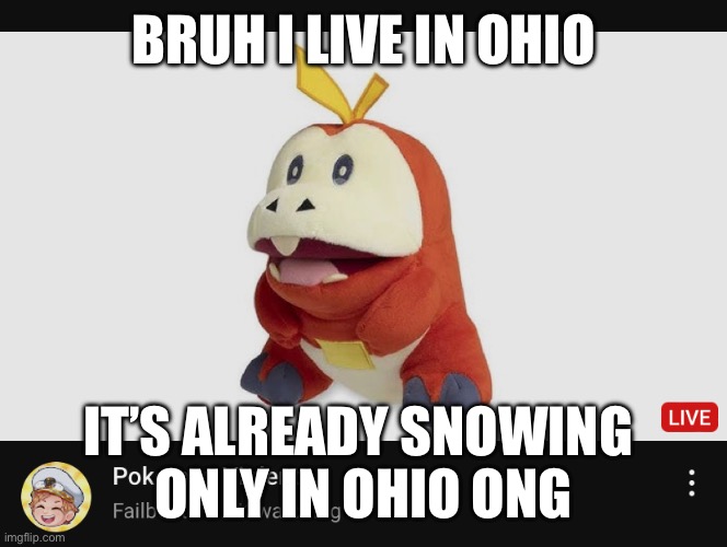 BRUH I LIVE IN OHIO; IT’S ALREADY SNOWING 
ONLY IN OHIO ONG | made w/ Imgflip meme maker