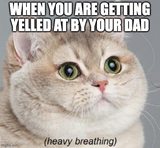 Everyone's Been Here | WHEN YOU ARE GETTING YELLED AT BY YOUR DAD | image tagged in memes,heavy breathing cat | made w/ Imgflip meme maker