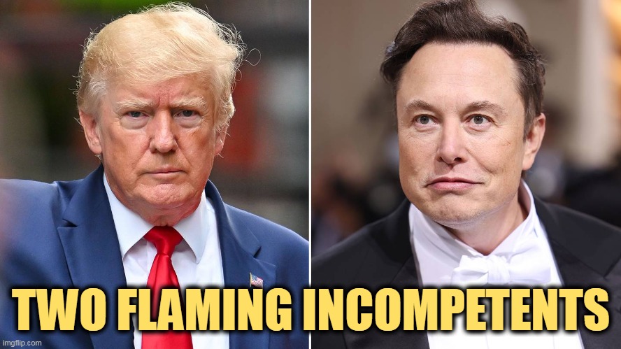 TWO FLAMING INCOMPETENTS | image tagged in trump,elon musk,incompetence | made w/ Imgflip meme maker