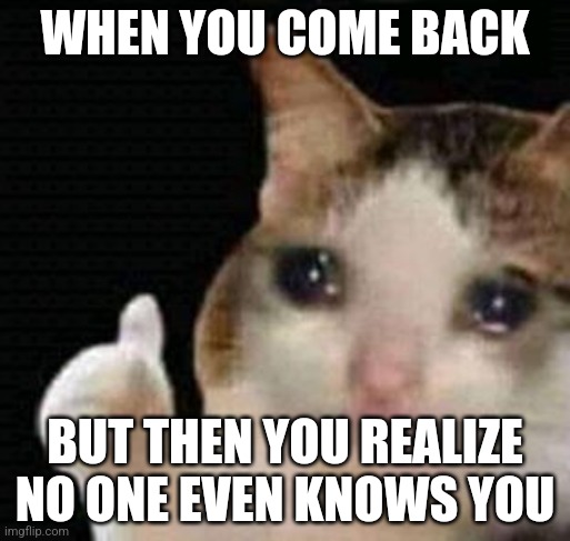 Guys im back but no one even knows who I am | WHEN YOU COME BACK; BUT THEN YOU REALIZE NO ONE EVEN KNOWS YOU | image tagged in sad thumbs up cat | made w/ Imgflip meme maker