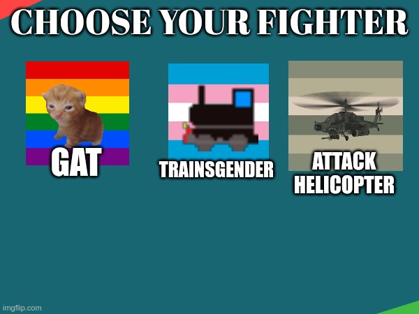 if this stream gets raided, what character would you have defend it? | CHOOSE YOUR FIGHTER; GAT; ATTACK HELICOPTER; TRAINSGENDER | made w/ Imgflip meme maker