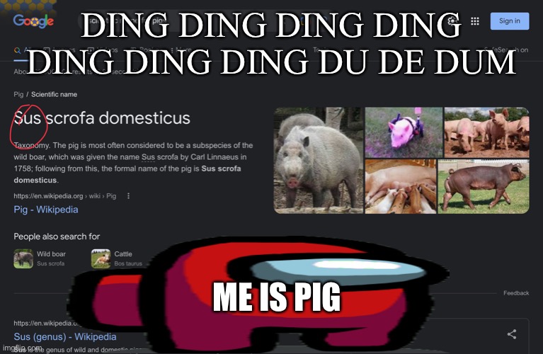 Did anyone know about this?! | DING DING DING DING DING DING DING DU DE DUM; ME IS PIG | image tagged in amogus | made w/ Imgflip meme maker