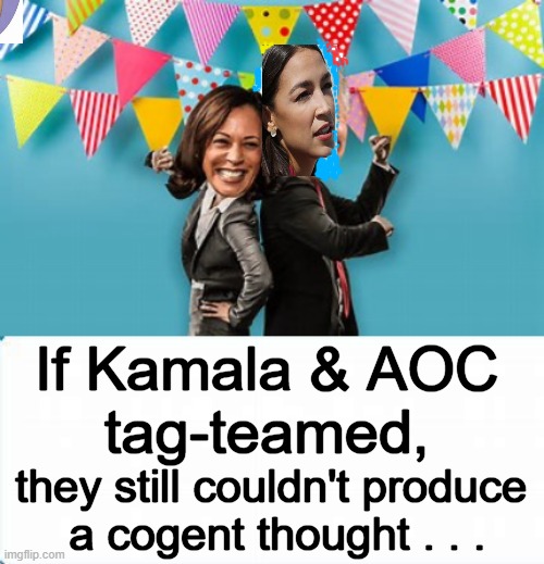 “Sometimes when I close my eyes, I can’t see.” – Anonymous | If Kamala & AOC 
tag-teamed, they still couldn't produce 
a cogent thought . . . | image tagged in politics,kamala harris,alexandria ocasio-cortez,stupidity,dumb and dumber,idiots | made w/ Imgflip meme maker