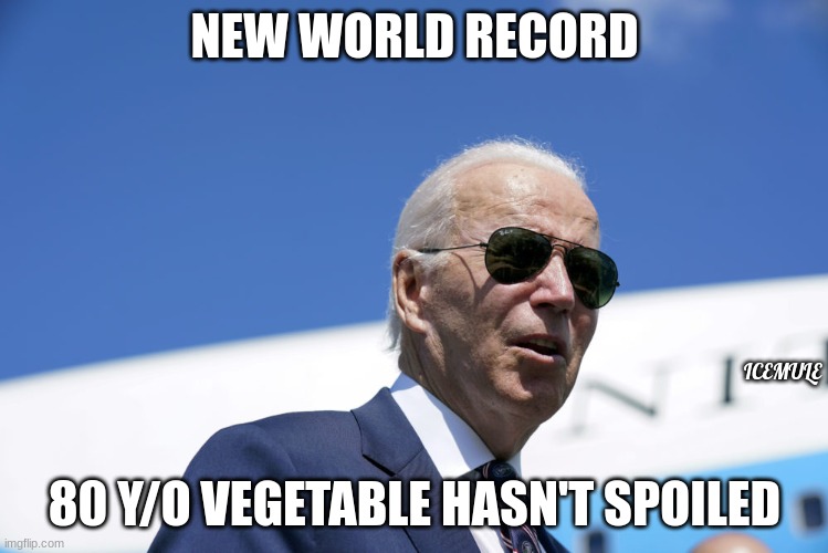 Vegetable | NEW WORLD RECORD; ICEMULE; 80 Y/O VEGETABLE HASN'T SPOILED | image tagged in joe biden worries | made w/ Imgflip meme maker