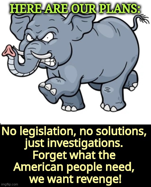 They've already told us. | HERE ARE OUR PLANS:; No legislation, no solutions, 
just investigations. 
Forget what the 
American people need, 
we want revenge! | image tagged in elephant,gop,republicans,revenge,bankruptcy | made w/ Imgflip meme maker