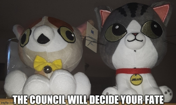 The council will decide your fate. Jellie and Spleens plushs. | image tagged in the council will decide your fate jellie and spleens plushs | made w/ Imgflip meme maker