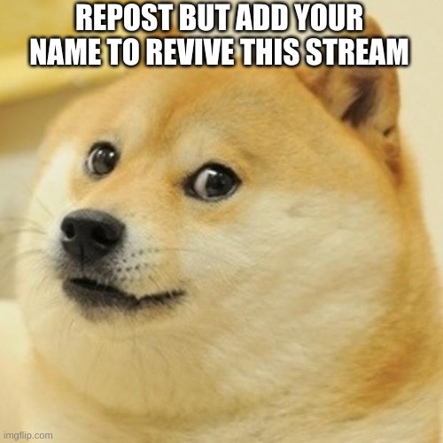 hopefully this will work- | REPOST BUT ADD YOUR NAME TO REVIVE THIS STREAM | image tagged in doge,repost,repost but add your name | made w/ Imgflip meme maker