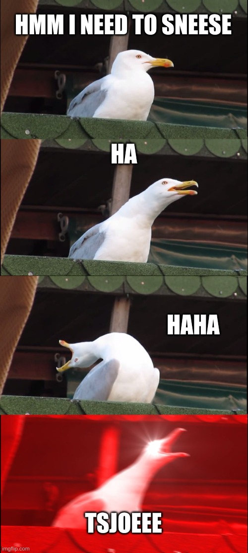 Inhaling Seagull | HMM I NEED TO SNEESE; HA; HAHA; TSJOEEE | image tagged in memes,inhaling seagull | made w/ Imgflip meme maker