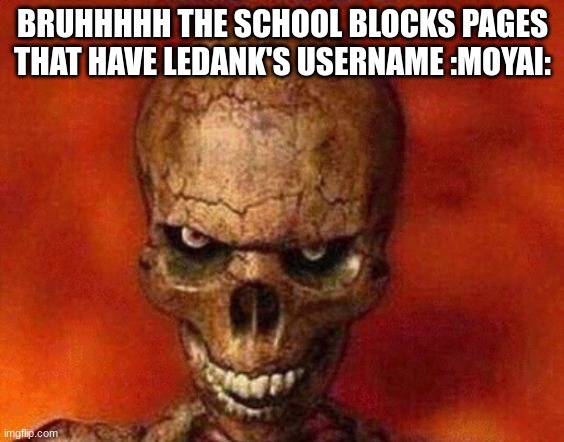 sketelon | BRUHHHHH THE SCHOOL BLOCKS PAGES THAT HAVE LEDANK'S USERNAME :MOYAI: | image tagged in sketelon | made w/ Imgflip meme maker