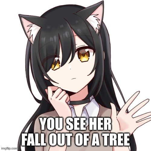 rules in tags, any gender for romance | YOU SEE HER FALL OUT OF A TREE | image tagged in no erp,no joke ocs,no killing her | made w/ Imgflip meme maker