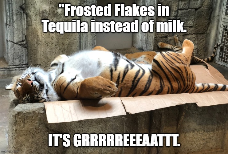 Tony had one too many | "Frosted Flakes in Tequila instead of milk. IT'S GRRRRREEEAATTT. | image tagged in frosted flakes | made w/ Imgflip meme maker