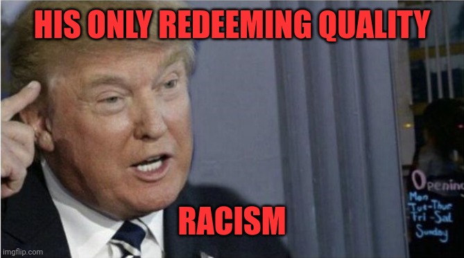 If you love this guy racism is a prerequisite | HIS ONLY REDEEMING QUALITY; RACISM | image tagged in roll safe trump edition | made w/ Imgflip meme maker