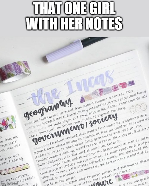 THAT ONE GIRL WITH HER NOTES | image tagged in notes | made w/ Imgflip meme maker