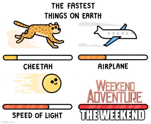 Fastest thing on earth | THE WEEKEND | image tagged in fastest thing on earth,weekend | made w/ Imgflip meme maker