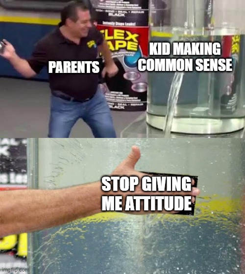 KID MAKING COMMON SENSE STOP GIVING ME ATTITUDE PARENTS | image tagged in flex tape | made w/ Imgflip meme maker