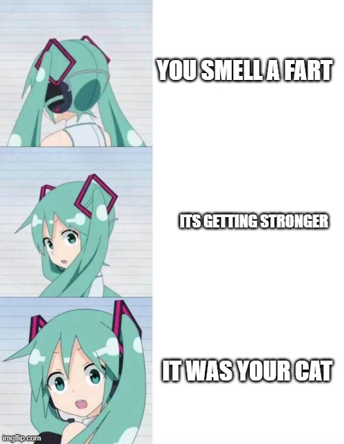 mega cat fart go brr | YOU SMELL A FART; ITS GETTING STRONGER; IT WAS YOUR CAT | image tagged in hatsune miku,meow,cat fart,fart | made w/ Imgflip meme maker