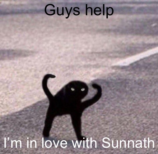 Cursed cat temp | Guys help; I’m in love with Sunnath | image tagged in cursed cat temp | made w/ Imgflip meme maker