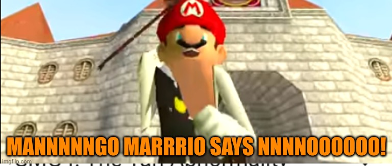 SMG4 Mango | MANNNNNGO MARRRIO SAYS NNNNOOOOOO! | image tagged in smg4 mango | made w/ Imgflip meme maker