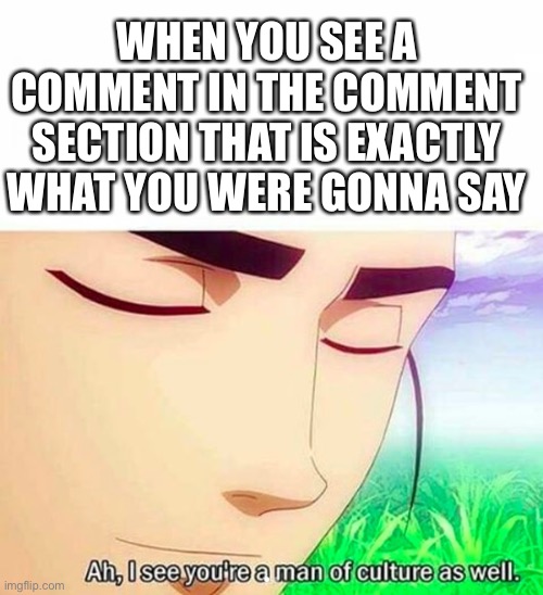 It’s beautiful |  WHEN YOU SEE A COMMENT IN THE COMMENT SECTION THAT IS EXACTLY WHAT YOU WERE GONNA SAY | image tagged in ah i see you are a man of culture as well,culture,comment section,comments,i like your funny words magic man | made w/ Imgflip meme maker