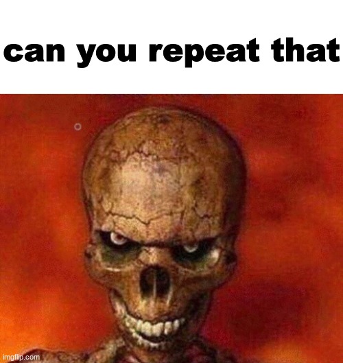 sketelon | can you repeat that | image tagged in sketelon | made w/ Imgflip meme maker