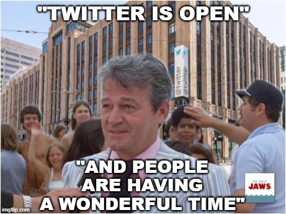 Twitter is Open |  "TWITTER IS OPEN"; "AND PEOPLE ARE HAVING A WONDERFUL TIME" | image tagged in twitter,jaws | made w/ Imgflip meme maker